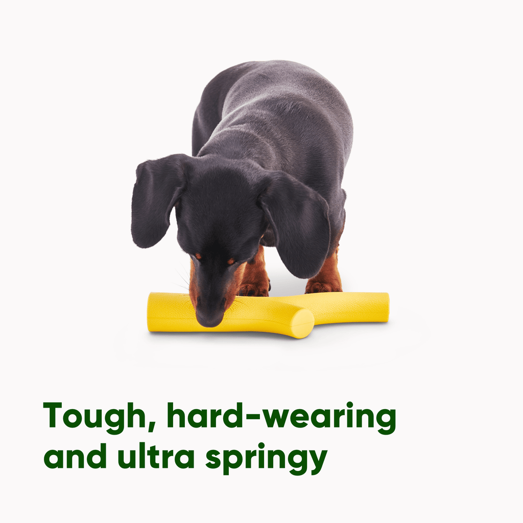 Natural Rubber Super Stick - Slickers ◊ Doghouse