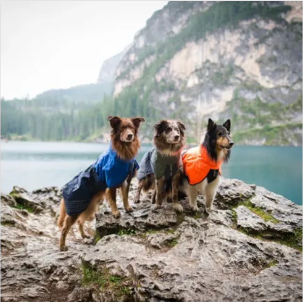 Fjord raincoat Green - Slickers ‚óä Doghouse