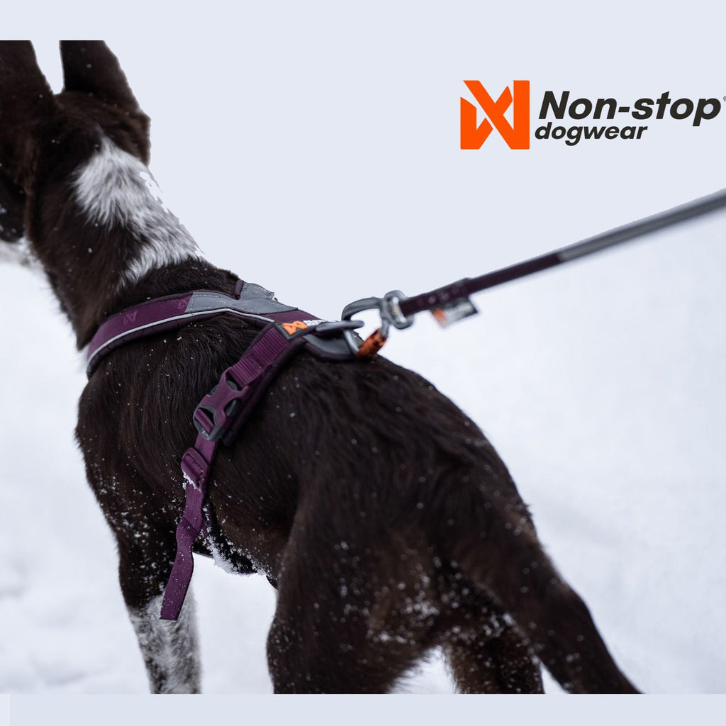Line Harness 5.0 - Slickers ‚óä Doghouse