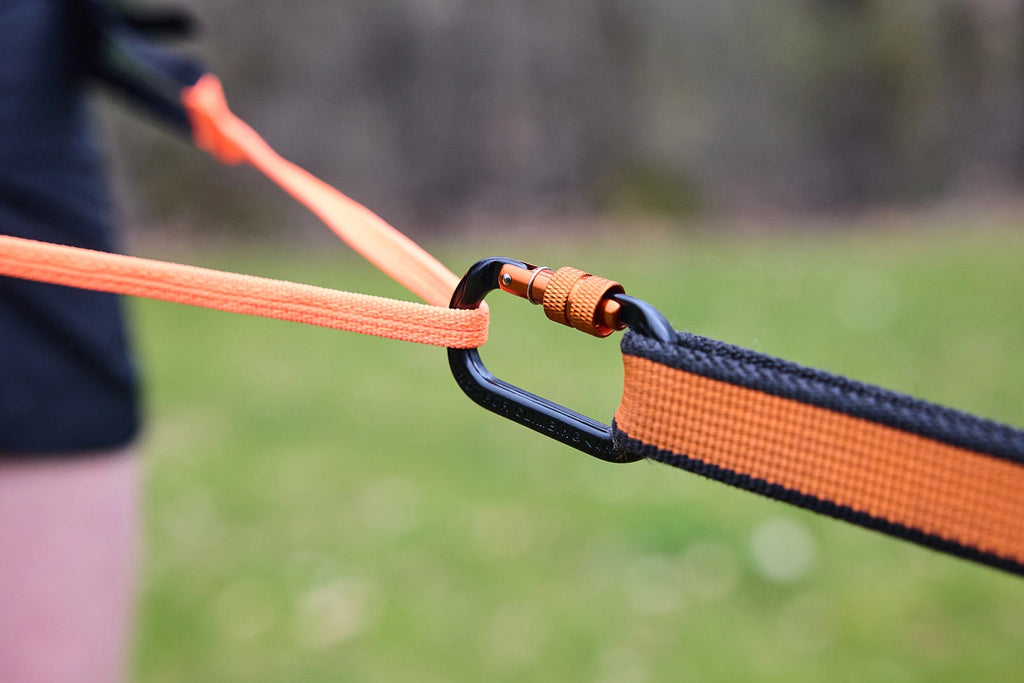 CaniX belt pro - Slickers ‚óä Doghouse