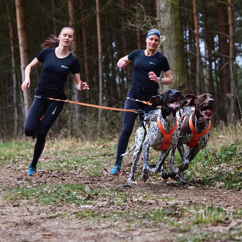 CaniX belt pro - Slickers ‚óä Doghouse