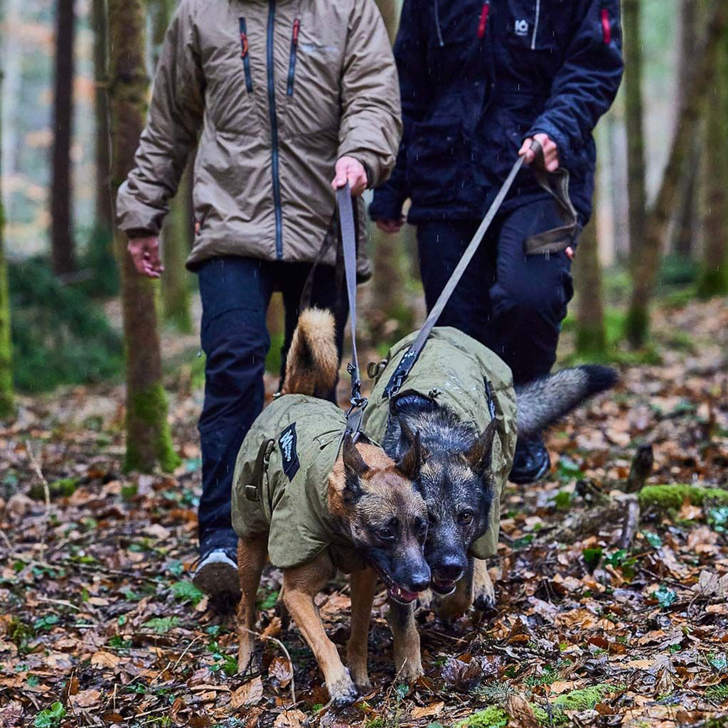 Solid Leash WD - Slickers ‚óä Doghouse