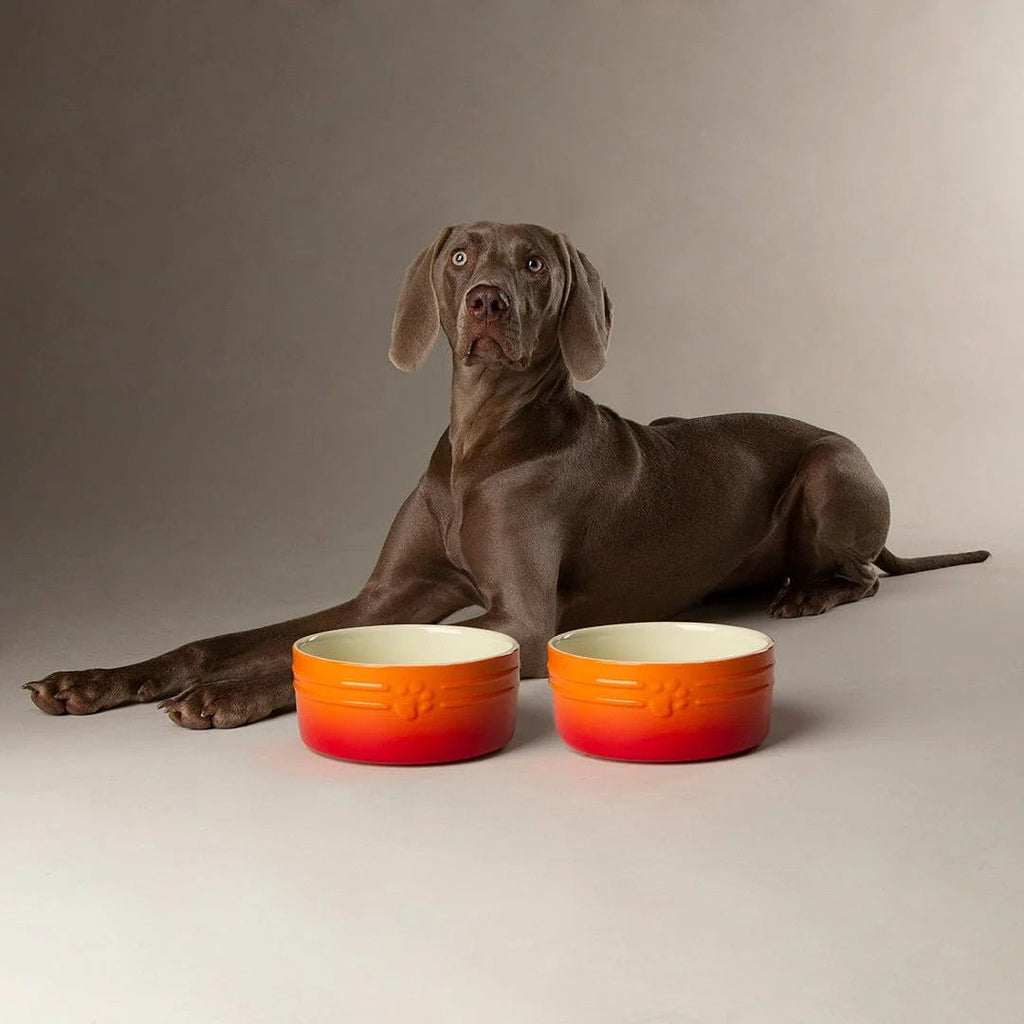 Ombre Pet Bowls - Slickers ◊ Doghouse