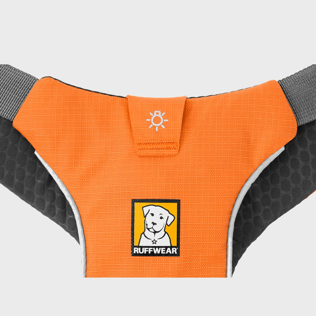 Omnijore Dog Joring System - Slickers ◊ Doghouse