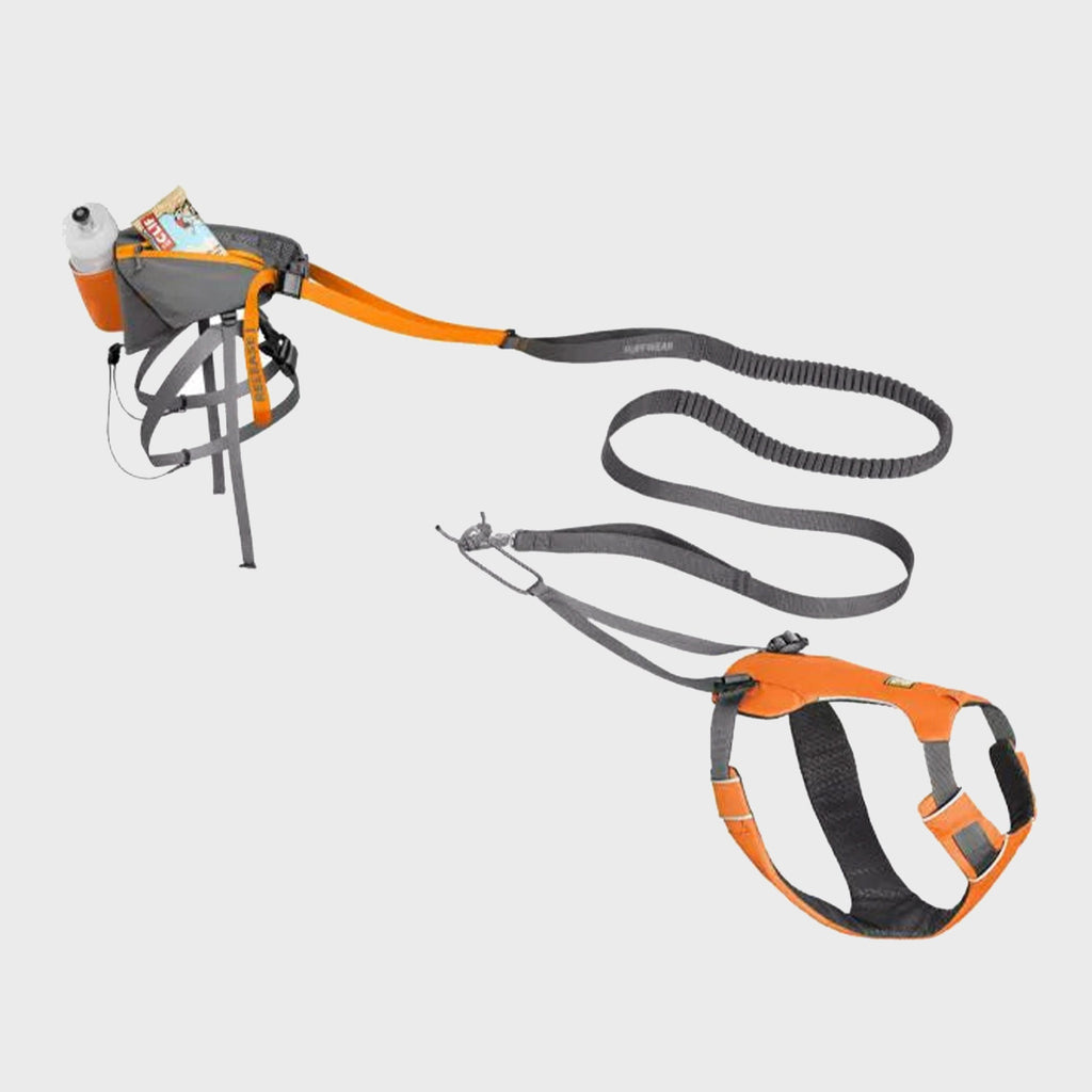 Omnijore Dog Joring System - Slickers ◊ Doghouse