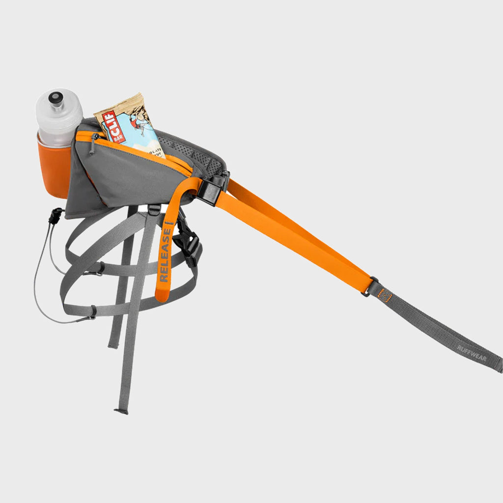 Omnijore Dog Joring System - Slickers ◊ Doghouse