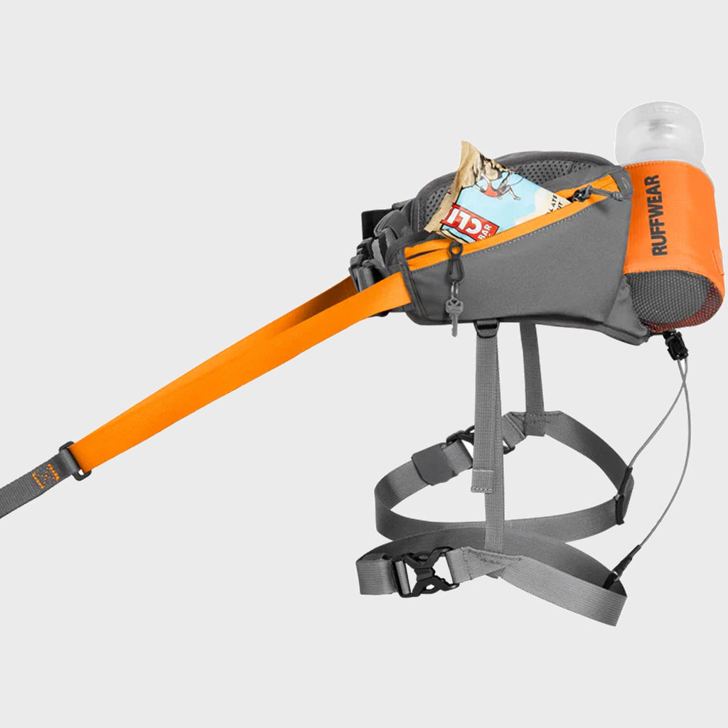 Omnijore Dog Joring System - Slickers ◊ Doghouse
