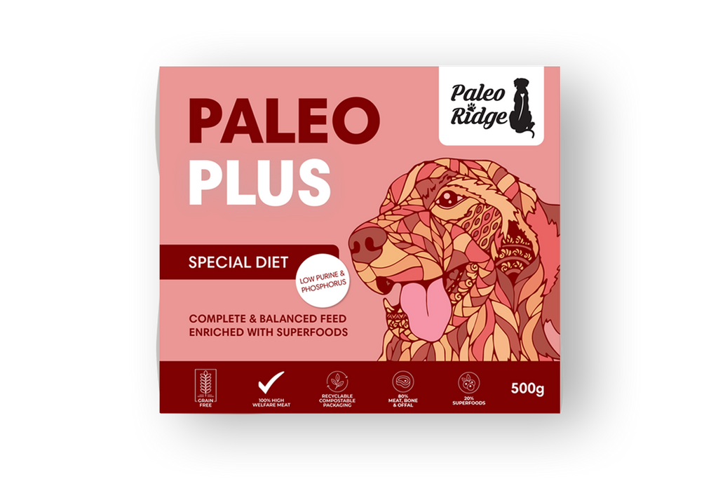 Paleo Ridge Raw Food Paleo Plus Special Diet 500g