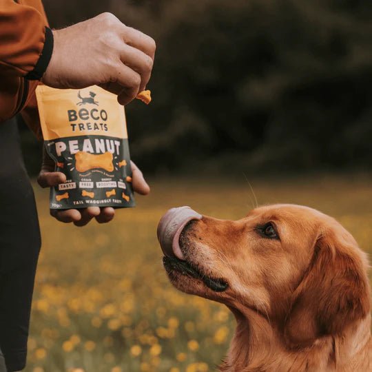 Peanut Dog Treats with Coconut & Turmeric - Slickers ◊ Doghouse