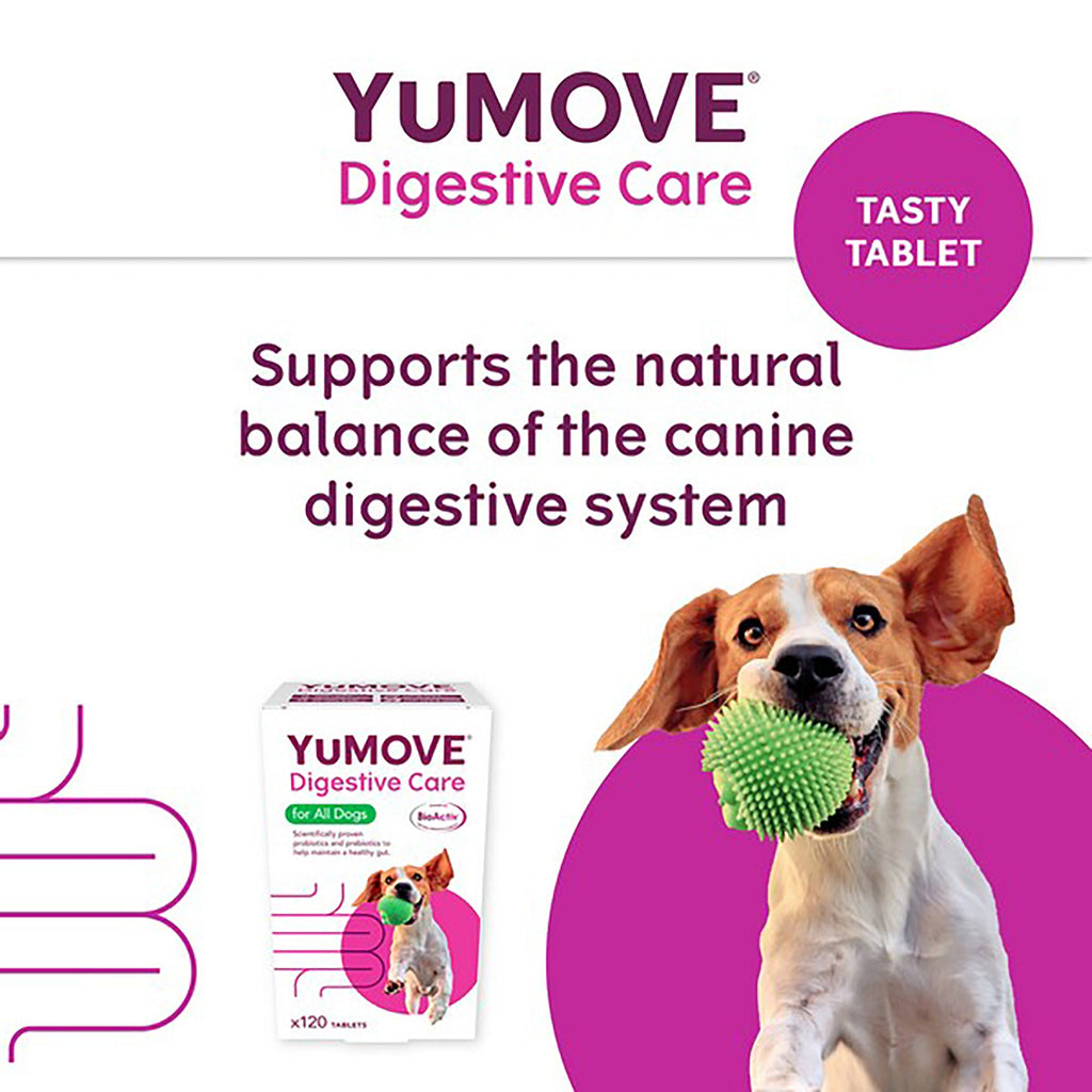 YuMOVE Digestive Care for All Dogs 300 pack - Slickers ‚óä Doghouse