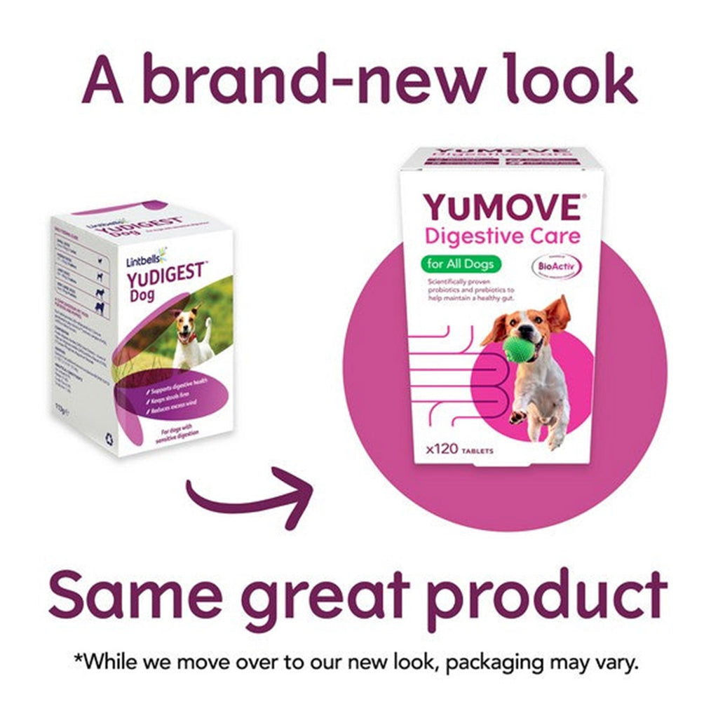 YuMOVE Digestive Care for All Dogs 300 pack - Slickers ‚óä Doghouse
