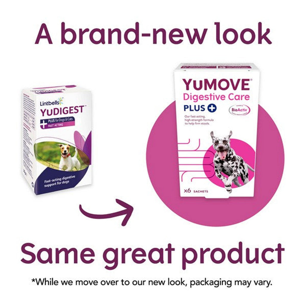 Pedigree Wholesale Pharmacy YuMOVE Digestive Care PLUS 6 Sachet YuMOVE Digestive Care Plus