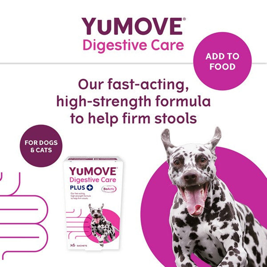 YuMOVE Digestive Care Plus - Slickers ‚óä Doghouse