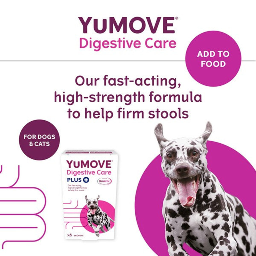 Pedigree Wholesale Pharmacy YuMOVE Digestive Care PLUS 6 Sachet YuMOVE Digestive Care Plus