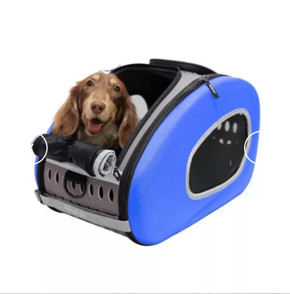 Pet EVA 5 in 1 stroller Blue - Slickers ◊ Doghouse