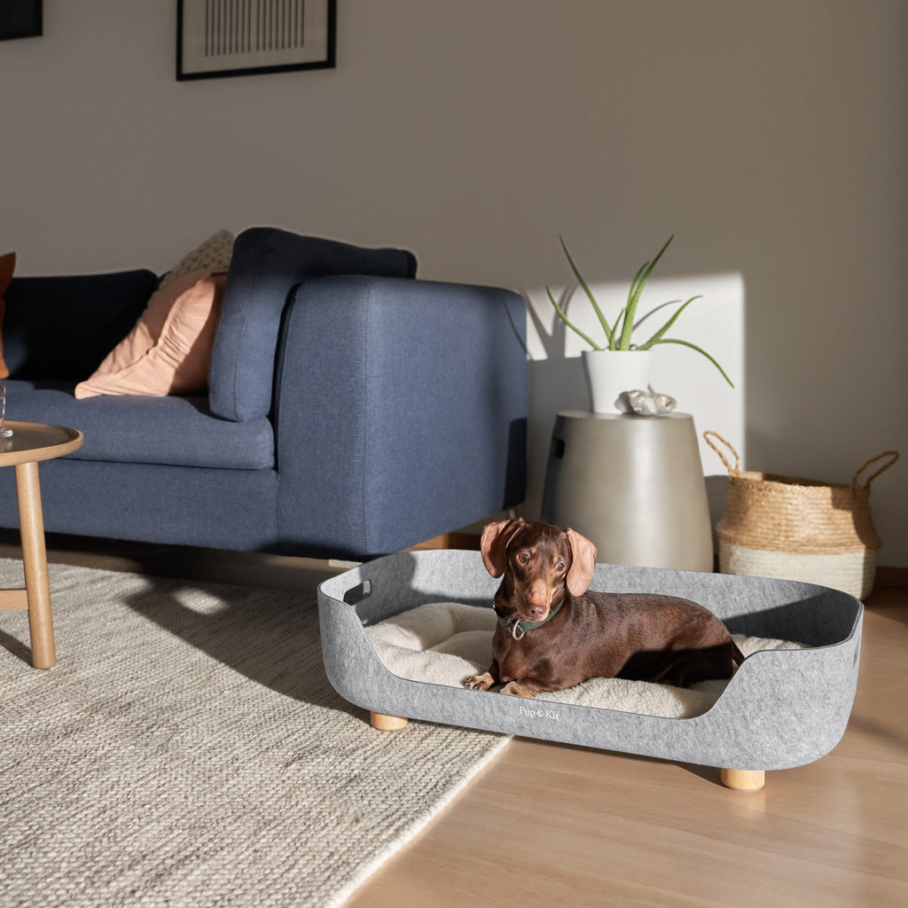 PetNest Felt Pet Bed - Natural - Slickers ◊ Doghouse