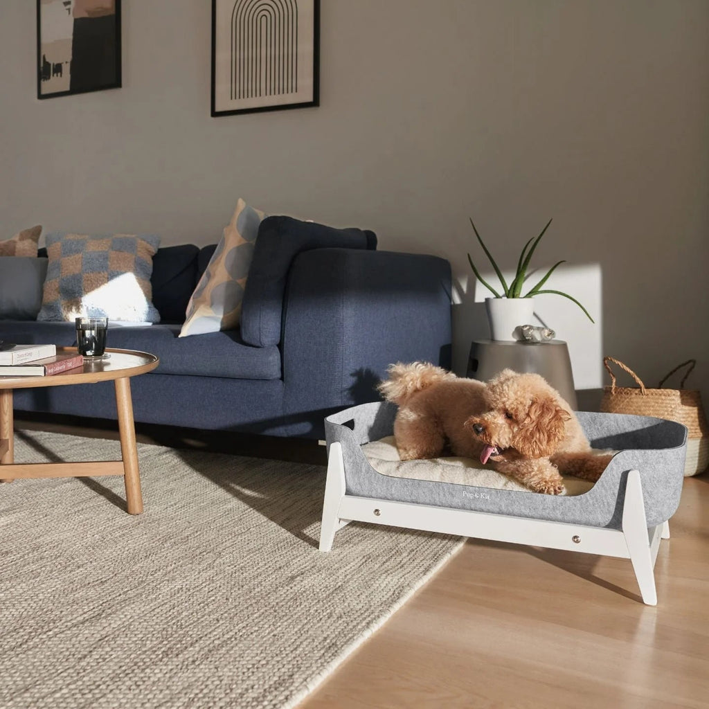 PetNest Full Bed Kit with Raised Stand in White - Slickers ◊ Doghouse