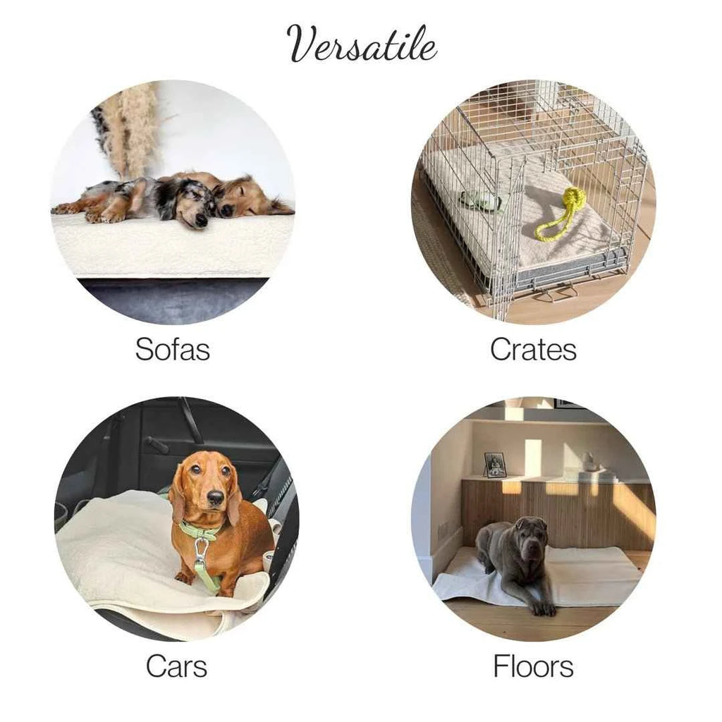 PetProtector Waterproof Blanket