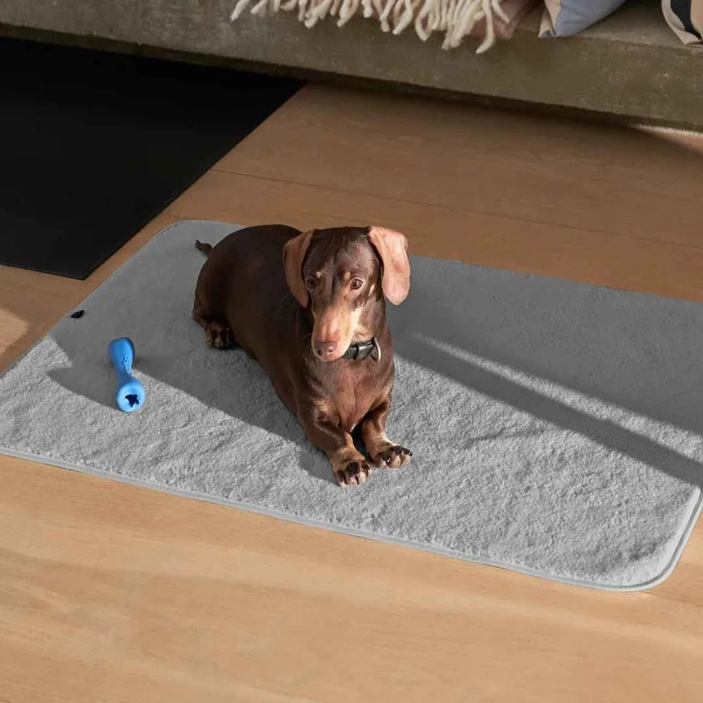 PetProtector Waterproof Blanket