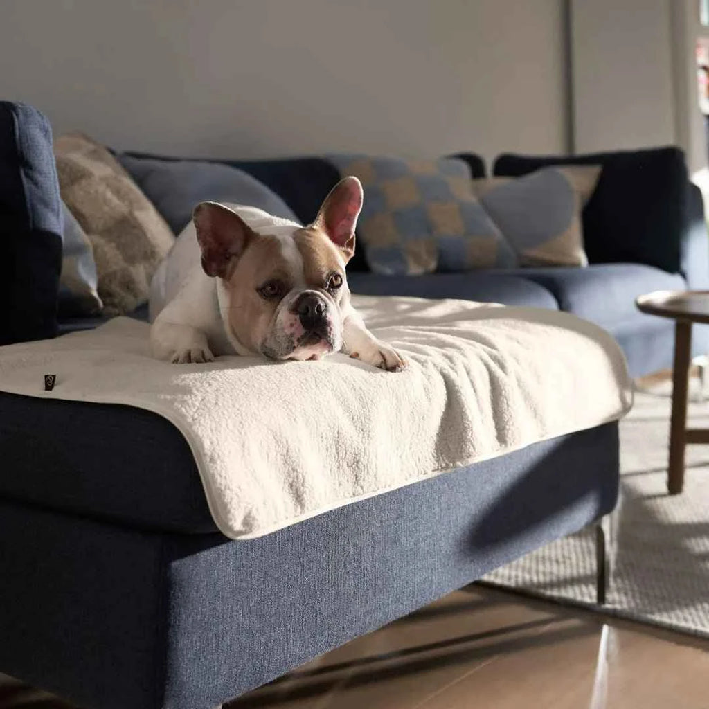 PetProtector Waterproof Blanket