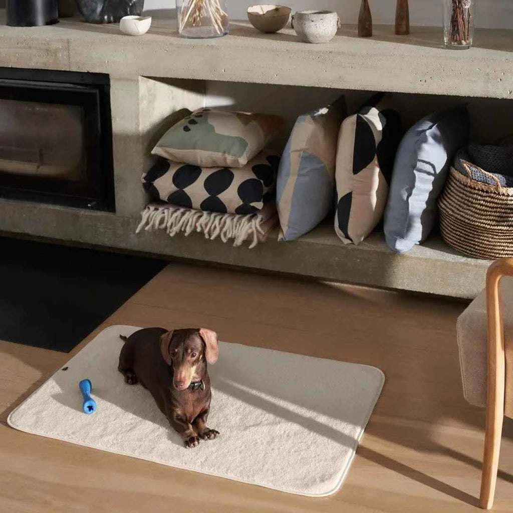 PetProtector Waterproof Blanket