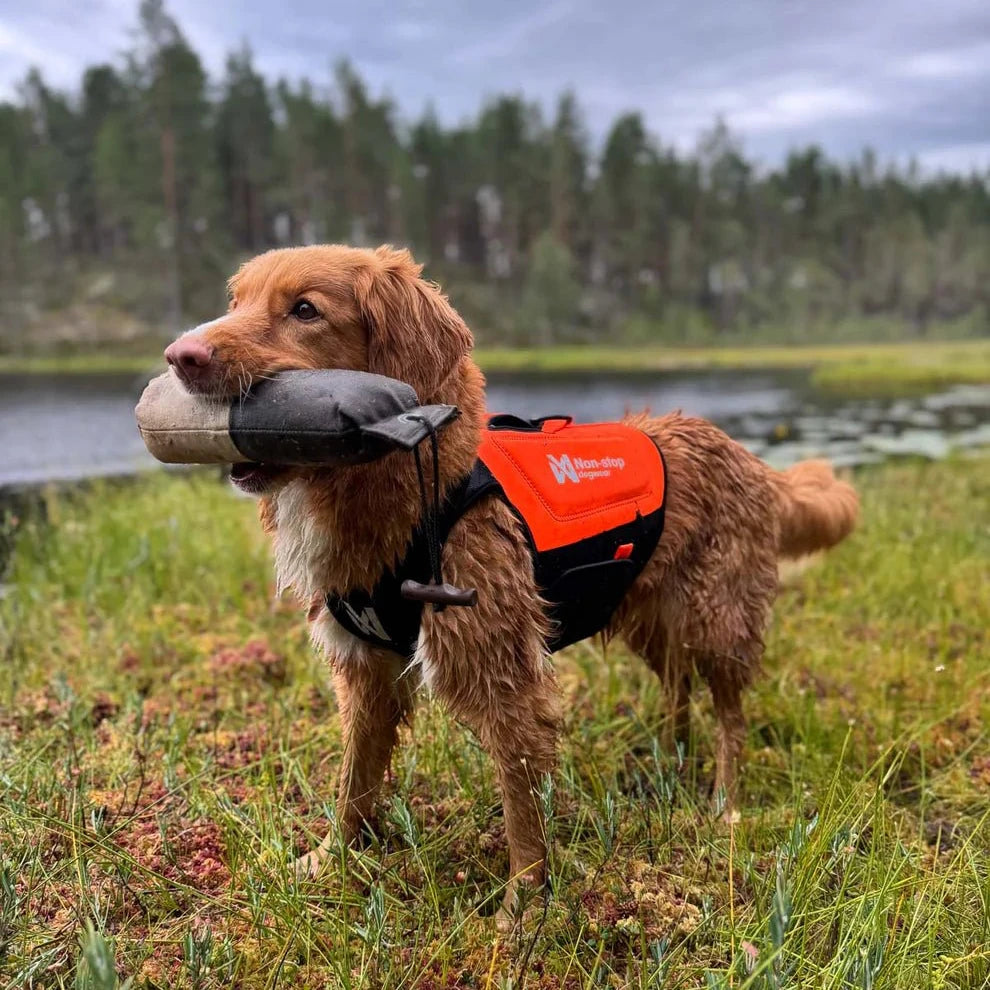 Protector Neoprene Vest - Slickers ◊ Doghouse