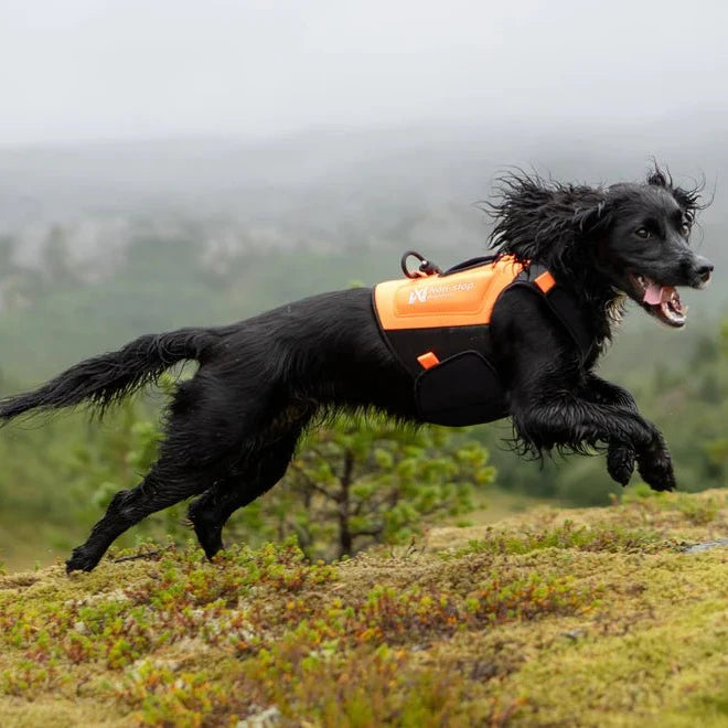 Protector Neoprene Vest - Slickers ◊ Doghouse