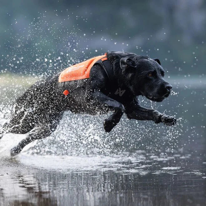 Protector Neoprene Vest - Slickers ◊ Doghouse