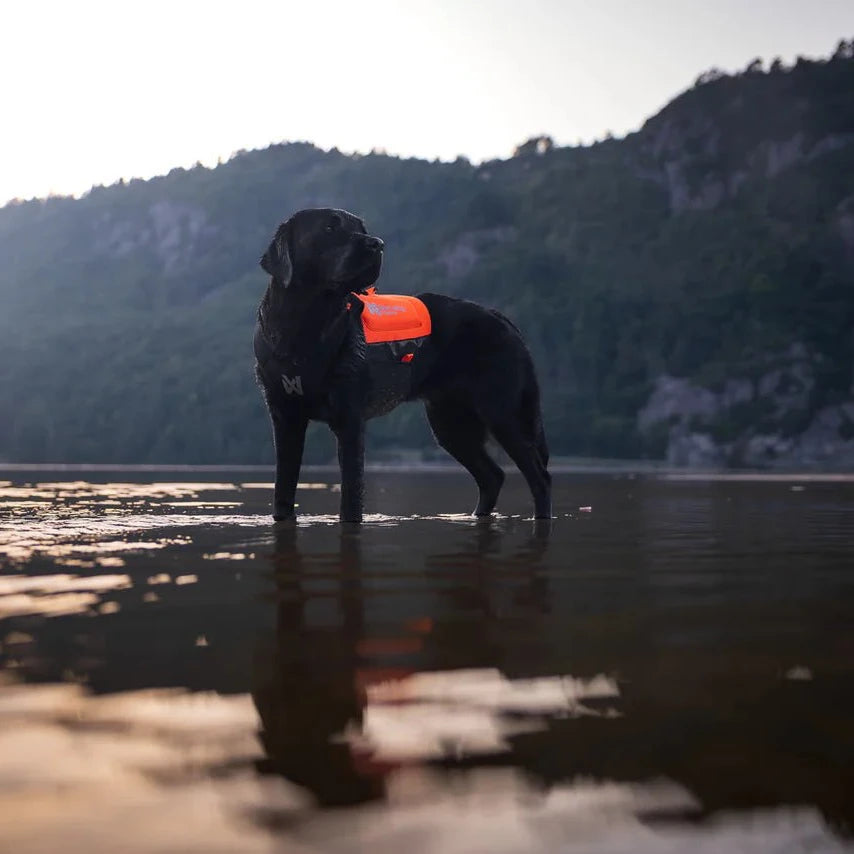 Protector Neoprene Vest - Slickers ◊ Doghouse