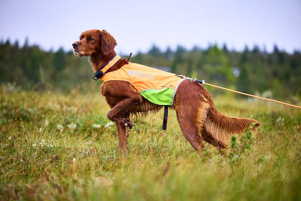 Protector Round Long Line - Slickers ◊ Doghouse