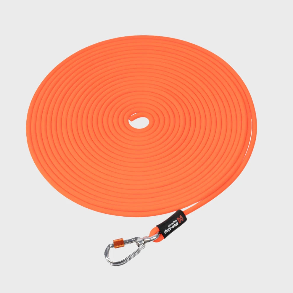 Orange dog leash with carabiner on a white background