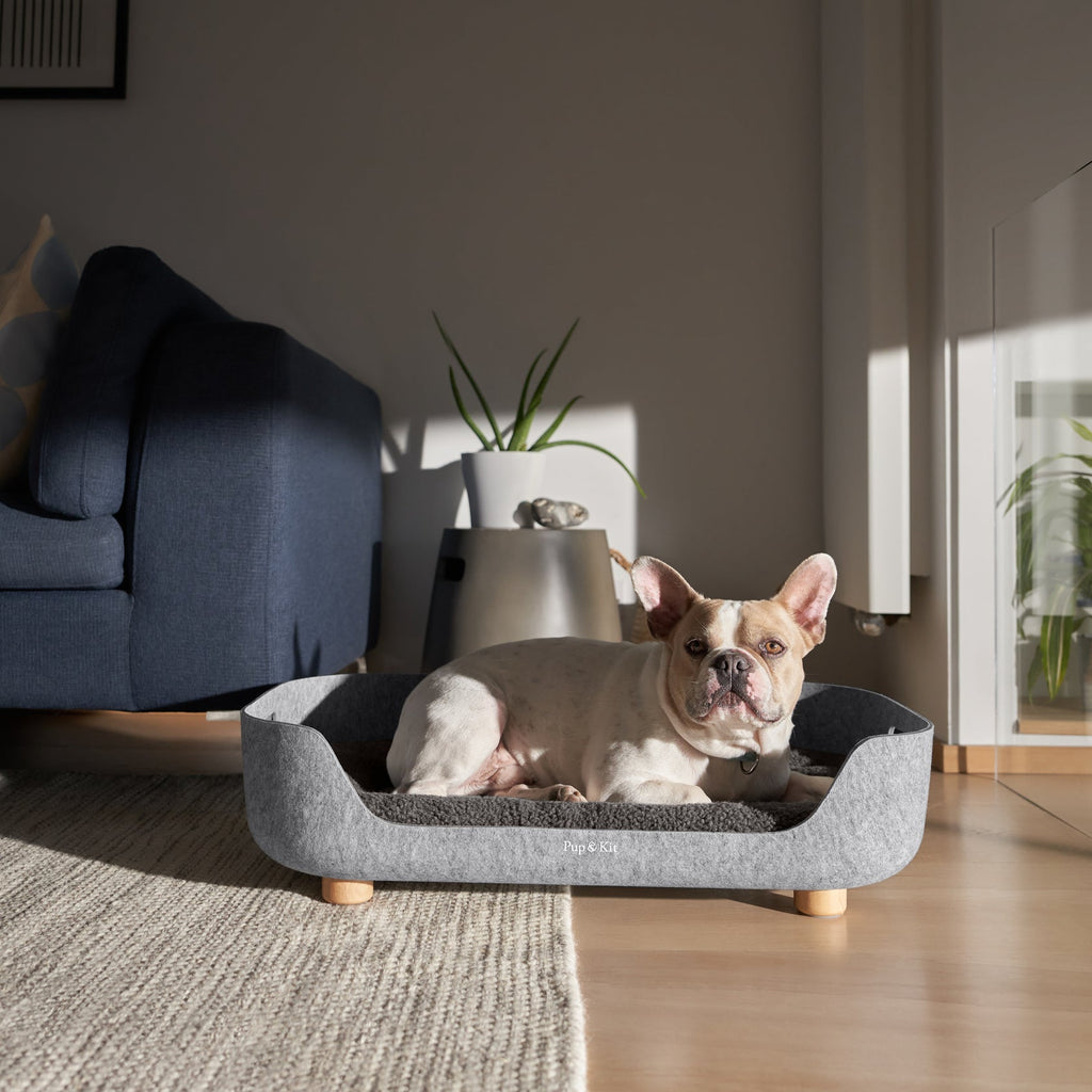 Pup & Kit Bedding PetNest Felt Pet Bed - Slate Grey