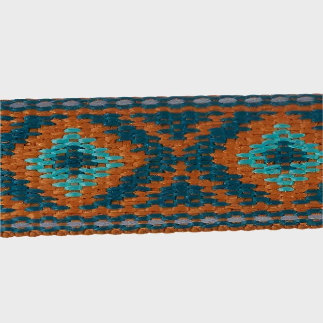 Rachel Pohl Trail Quest Leash - Slickers ◊ Doghouse