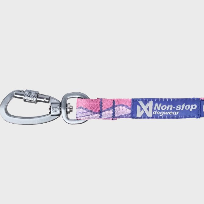 Rachel Pohl Trail Quest Leash - Slickers ◊ Doghouse