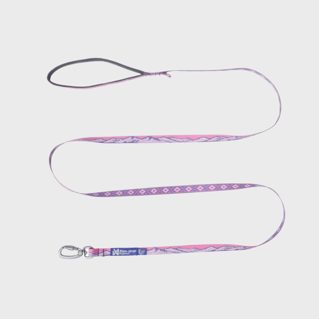 Rachel Pohl Trail Quest Leash - Slickers ◊ Doghouse