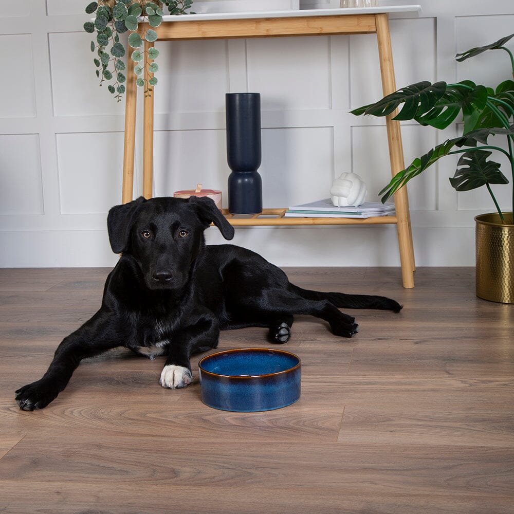 Reactive Glaze Dog Bowls - Slickers ◊ Doghouse