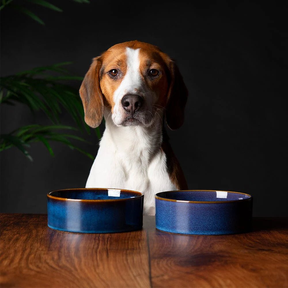 Reactive Glaze Dog Bowls - Slickers ◊ Doghouse