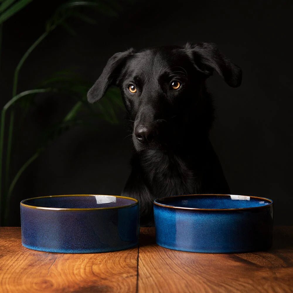 Reactive Glaze Dog Bowls - Slickers ◊ Doghouse