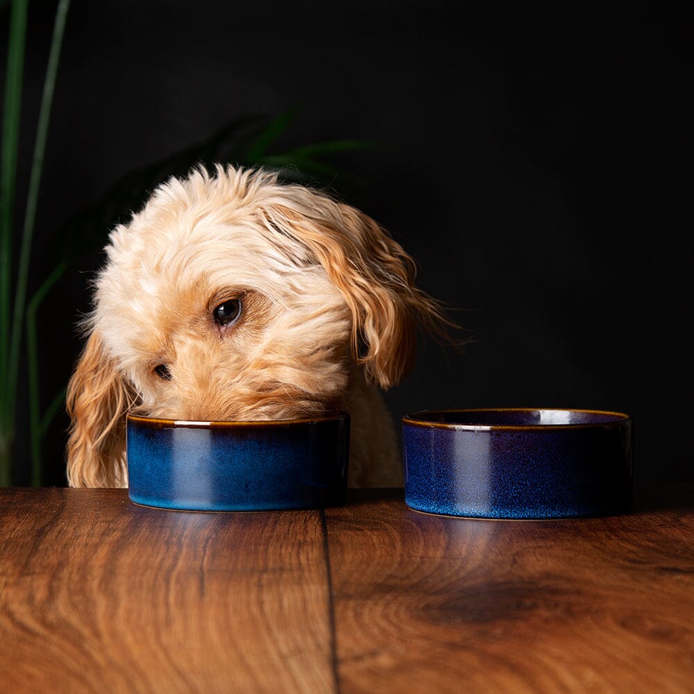 Reactive Glaze Dog Bowls - Slickers ◊ Doghouse