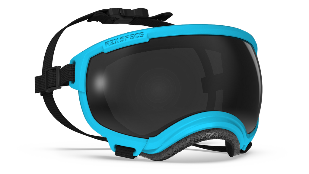 Rex Specs Dog Eye Goggles XSmall / Big Horn Blue Rex Specs Dog Goggles V2