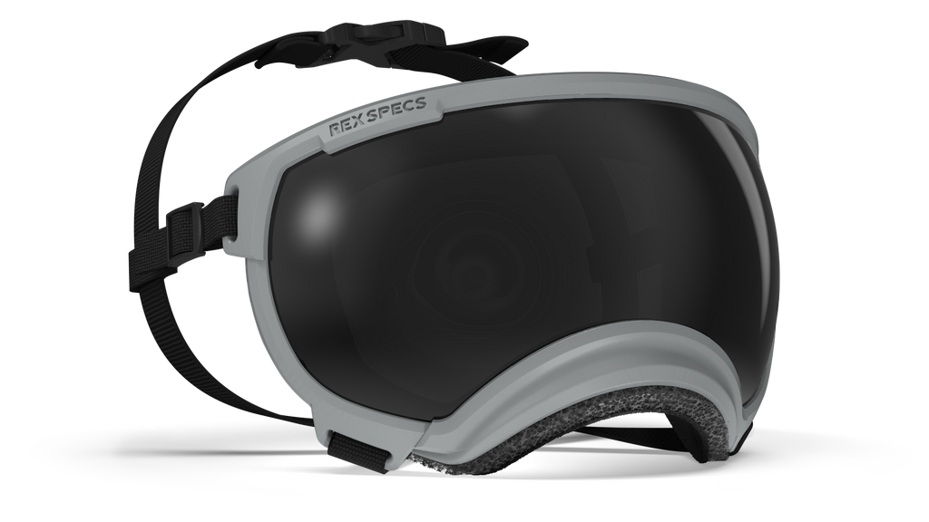 Rex Specs Dog Eye Goggles XSmall / Gallatin Grey Rex Specs Dog Goggles V2