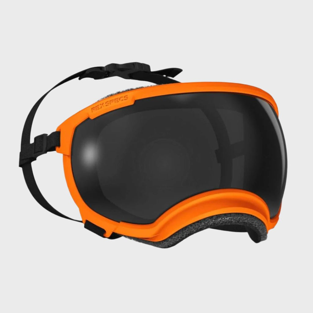 Rex Specs Dog Goggles V2 - Appalachian Orange - Slickers ◊ Doghouse