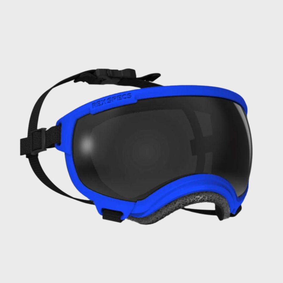 Rex Specs Dog Goggles V2 - Balkan Blue - Slickers ◊ Doghouse