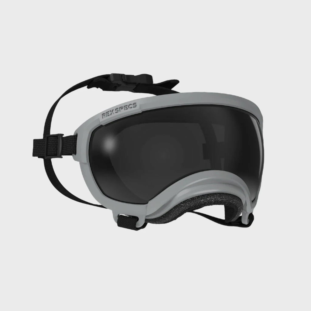 Rex Specs Dog Goggles V2 - Gallatin Grey - Slickers ◊ Doghouse