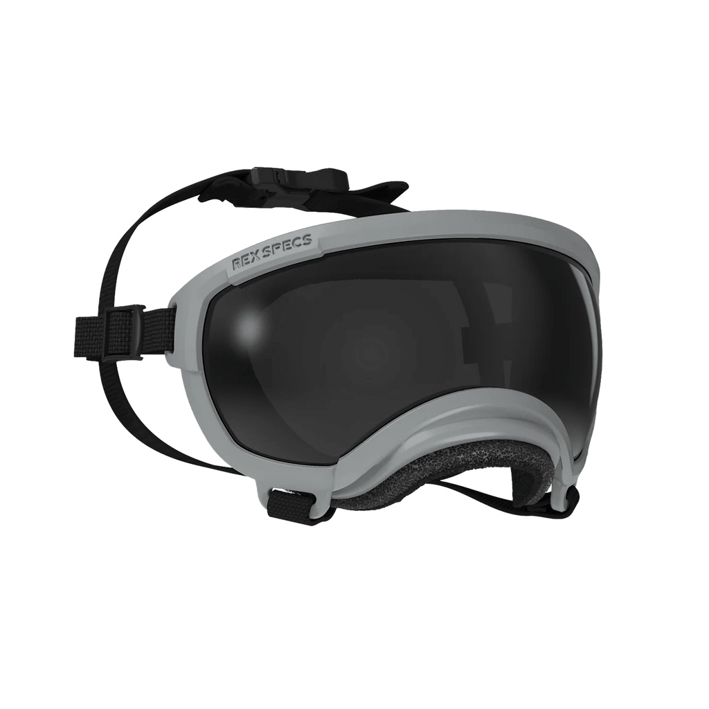 Rex Specs Dog Goggles V2 - Gallatin Grey - Slickers ◊ Doghouse