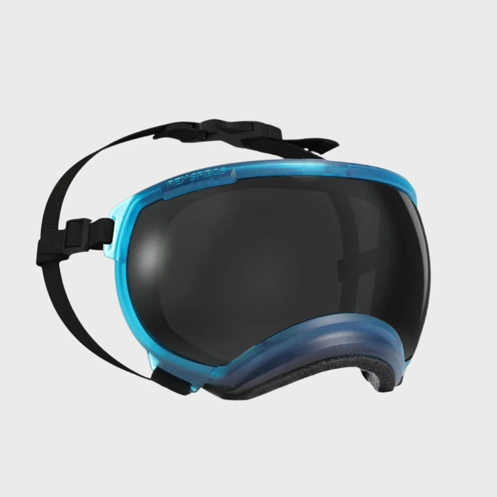 Rex Specs Dog Goggles V2 - Glacier Blue - Slickers ◊ Doghouse