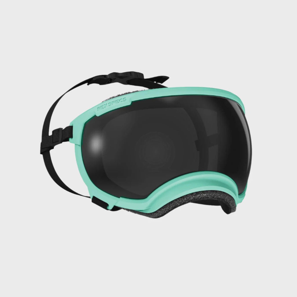 Rex Specs Dog Goggles V2 - Mountain View Mint - Slickers ◊ Doghouse