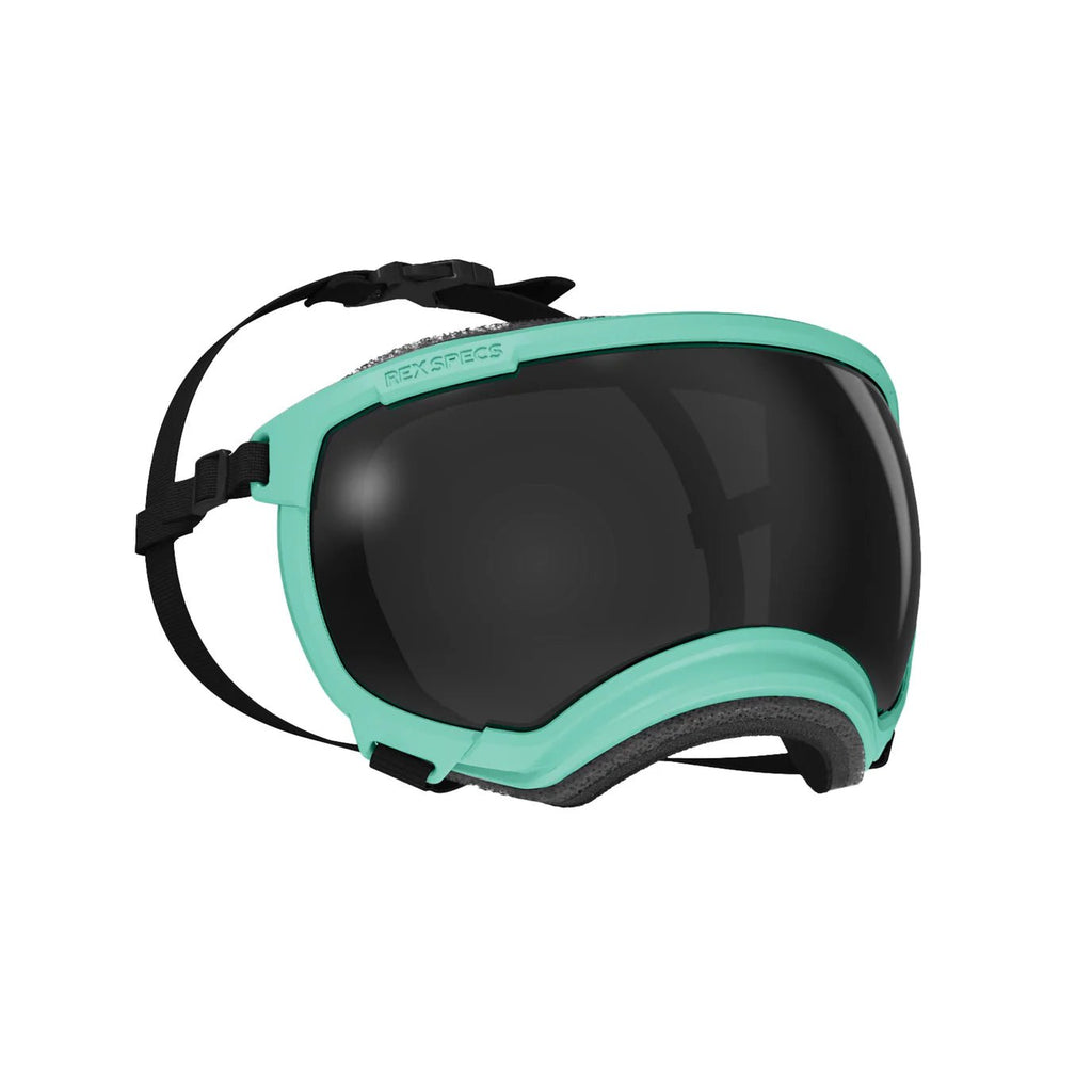 Rex Specs Dog Goggles V2 - Mountain View Mint - Slickers ◊ Doghouse