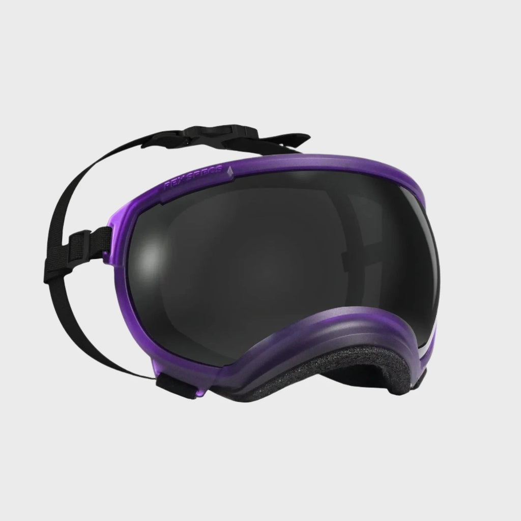 Rex Specs Dog Goggles V2 - Riptide Purple - Slickers ◊ Doghouse