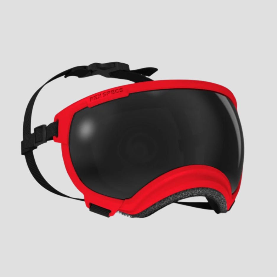 Rex Specs Dog Goggles V2 - Volcano Red - Slickers ◊ Doghouse